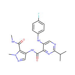 CNC(=O)c1c(NC(=O)c2nc(C(C)C)ncc2Nc2ccc(F)cc2)cnn1C ZINC000169701814