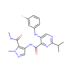 CNC(=O)c1c(NC(=O)c2nc(C(C)C)ncc2Nc2cccc(F)c2)cnn1C ZINC000169701811