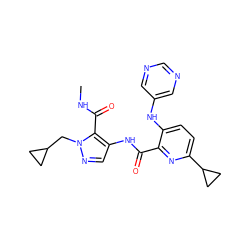 CNC(=O)c1c(NC(=O)c2nc(C3CC3)ccc2Nc2cncnc2)cnn1CC1CC1 ZINC000169701661