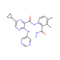 CNC(=O)c1c(NC(=O)c2nc(C3CC3)cnc2Nc2cncnc2)ccc(C)c1C ZINC000169701881