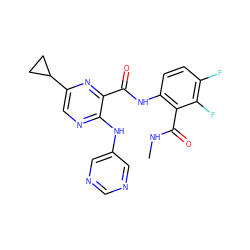 CNC(=O)c1c(NC(=O)c2nc(C3CC3)cnc2Nc2cncnc2)ccc(F)c1F ZINC000169701926