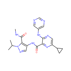 CNC(=O)c1c(NC(=O)c2nc(C3CC3)cnc2Nc2cncnc2)cnn1C(C)C ZINC000169701763