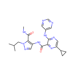 CNC(=O)c1c(NC(=O)c2nc(C3CC3)cnc2Nc2cncnc2)cnn1CC(C)C ZINC000169701762