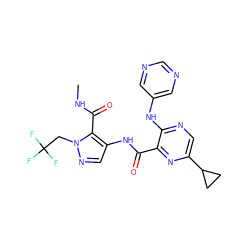 CNC(=O)c1c(NC(=O)c2nc(C3CC3)cnc2Nc2cncnc2)cnn1CC(F)(F)F ZINC000169701797