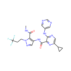 CNC(=O)c1c(NC(=O)c2nc(C3CC3)cnc2Nc2cncnc2)cnn1CCC(F)(F)F ZINC000169701794