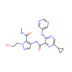 CNC(=O)c1c(NC(=O)c2nc(C3CC3)cnc2Nc2cncnc2)cnn1CCO ZINC000142127940