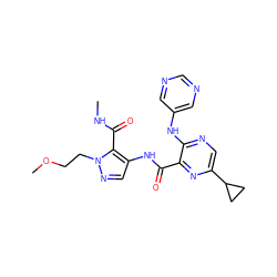 CNC(=O)c1c(NC(=O)c2nc(C3CC3)cnc2Nc2cncnc2)cnn1CCOC ZINC000142176202