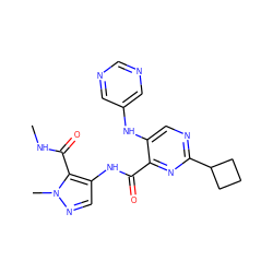 CNC(=O)c1c(NC(=O)c2nc(C3CCC3)ncc2Nc2cncnc2)cnn1C ZINC000169701816