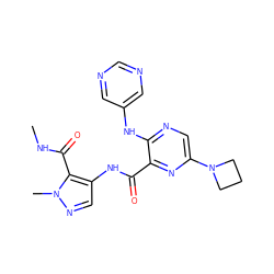 CNC(=O)c1c(NC(=O)c2nc(N3CCC3)cnc2Nc2cncnc2)cnn1C ZINC000169701914