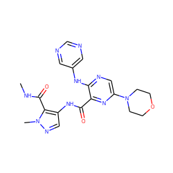 CNC(=O)c1c(NC(=O)c2nc(N3CCOCC3)cnc2Nc2cncnc2)cnn1C ZINC000169701907