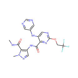 CNC(=O)c1c(NC(=O)c2nc(OCC(F)(F)F)ncc2Nc2cncnc2)cnn1C ZINC000169701947