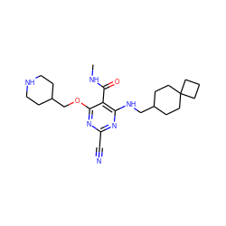 CNC(=O)c1c(NCC2CCC3(CCC3)CC2)nc(C#N)nc1OCC1CCNCC1 ZINC000040917688