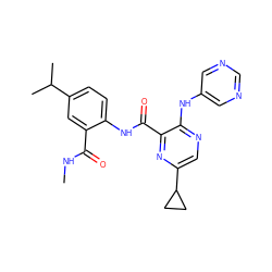 CNC(=O)c1cc(C(C)C)ccc1NC(=O)c1nc(C2CC2)cnc1Nc1cncnc1 ZINC000169701829