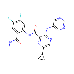 CNC(=O)c1cc(F)c(F)cc1NC(=O)c1nc(C2CC2)cnc1Nc1cncnc1 ZINC000169701898