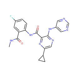 CNC(=O)c1cc(F)ccc1NC(=O)c1nc(C2CC2)cnc1Nc1cncnc1 ZINC000169701922