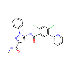 CNC(=O)c1cc(NC(=O)c2cc(-c3ccccn3)c(Cl)cc2Cl)n(-c2ccccc2)n1 ZINC001772631330