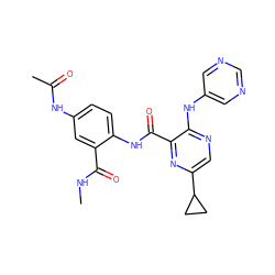 CNC(=O)c1cc(NC(C)=O)ccc1NC(=O)c1nc(C2CC2)cnc1Nc1cncnc1 ZINC000169701887