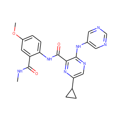 CNC(=O)c1cc(OC)ccc1NC(=O)c1nc(C2CC2)cnc1Nc1cncnc1 ZINC000169701846