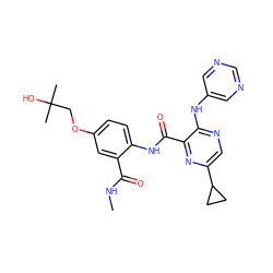 CNC(=O)c1cc(OCC(C)(C)O)ccc1NC(=O)c1nc(C2CC2)cnc1Nc1cncnc1 ZINC000149840101