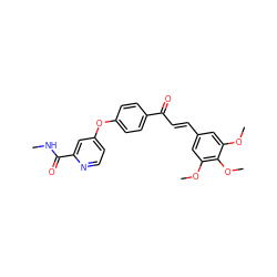 CNC(=O)c1cc(Oc2ccc(C(=O)/C=C/c3cc(OC)c(OC)c(OC)c3)cc2)ccn1 ZINC001772580211