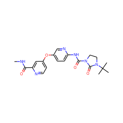 CNC(=O)c1cc(Oc2ccc(NC(=O)N3CCN(C(C)(C)C)C3=O)nc2)ccn1 ZINC000218603789