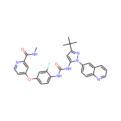 CNC(=O)c1cc(Oc2ccc(NC(=O)Nc3cc(C(C)(C)C)nn3-c3ccc4ncccc4c3)c(F)c2)ccn1 ZINC000063933734