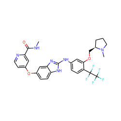 CNC(=O)c1cc(Oc2ccc3[nH]c(Nc4ccc(C(F)(F)C(F)(F)F)c(OC[C@H]5CCCN5C)c4)nc3c2)ccn1 ZINC000006716045