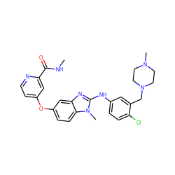 CNC(=O)c1cc(Oc2ccc3c(c2)nc(Nc2ccc(Cl)c(CN4CCN(C)CC4)c2)n3C)ccn1 ZINC000022878358