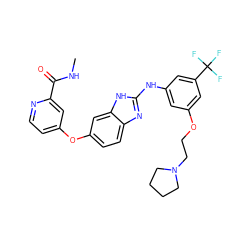 CNC(=O)c1cc(Oc2ccc3nc(Nc4cc(OCCN5CCCC5)cc(C(F)(F)F)c4)[nH]c3c2)ccn1 ZINC000014965250