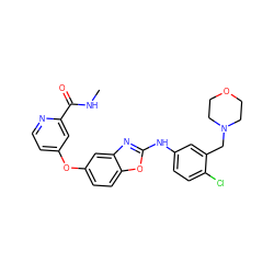 CNC(=O)c1cc(Oc2ccc3oc(Nc4ccc(Cl)c(CN5CCOCC5)c4)nc3c2)ccn1 ZINC000014965303