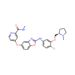 CNC(=O)c1cc(Oc2ccc3oc(Nc4ccc(Cl)c(OC[C@H]5CCCN5C)c4)nc3c2)ccn1 ZINC000016052882