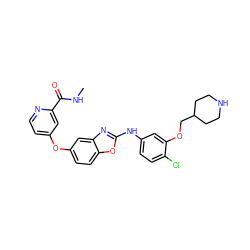 CNC(=O)c1cc(Oc2ccc3oc(Nc4ccc(Cl)c(OCC5CCNCC5)c4)nc3c2)ccn1 ZINC000014965307