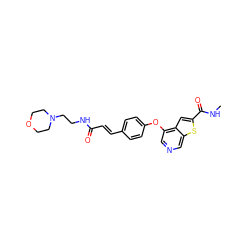 CNC(=O)c1cc2c(Oc3ccc(/C=C/C(=O)NCCN4CCOCC4)cc3)cncc2s1 ZINC000013864428