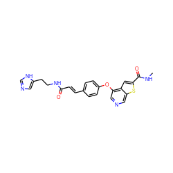 CNC(=O)c1cc2c(Oc3ccc(/C=C/C(=O)NCCc4cnc[nH]4)cc3)cncc2s1 ZINC000013864435