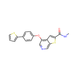 CNC(=O)c1cc2c(Oc3ccc(-c4cccs4)cc3)cncc2s1 ZINC000013864423