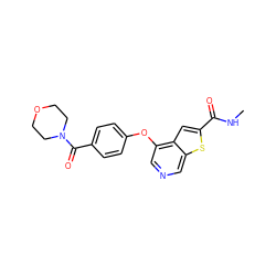 CNC(=O)c1cc2c(Oc3ccc(C(=O)N4CCOCC4)cc3)cncc2s1 ZINC000013864437