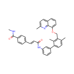 CNC(=O)c1ccc(/C=C/C(=O)Nc2cccc(-c3ccc(C)c(COc4cccc5ccc(C)nc45)c3C)c2)cc1 ZINC000027523028