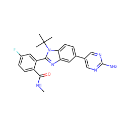 CNC(=O)c1ccc(F)cc1-c1nc2cc(-c3cnc(N)nc3)ccc2n1C(C)(C)C ZINC000143897458