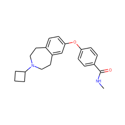 CNC(=O)c1ccc(Oc2ccc3c(c2)CCN(C2CCC2)CC3)cc1 ZINC000103242303