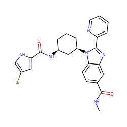 CNC(=O)c1ccc2c(c1)nc(-c1ccccn1)n2[C@@H]1CCC[C@H](NC(=O)c2cc(Br)c[nH]2)C1 ZINC000653829360