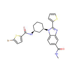 CNC(=O)c1ccc2c(c1)nc(-c1cccs1)n2[C@@H]1CCC[C@H](NC(=O)c2ccc(Br)s2)C1 ZINC000653823215