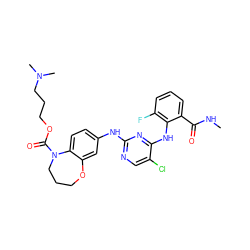 CNC(=O)c1cccc(F)c1Nc1nc(Nc2ccc3c(c2)OCCCN3C(=O)OCCCN(C)C)ncc1Cl ZINC000066251933