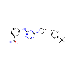 CNC(=O)c1cccc(Nc2ncnc(N3CC(Oc4ccc(C(C)(C)C)cc4)C3)n2)c1 ZINC001772571716
