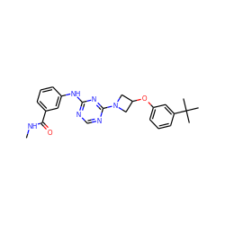 CNC(=O)c1cccc(Nc2ncnc(N3CC(Oc4cccc(C(C)(C)C)c4)C3)n2)c1 ZINC001772636508