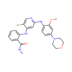 CNC(=O)c1ccccc1Nc1cc(Nc2ccc(N3CCOCC3)cc2OC)ncc1Br ZINC000115616782