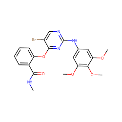 CNC(=O)c1ccccc1Oc1nc(Nc2cc(OC)c(OC)c(OC)c2)ncc1Br ZINC000253387916