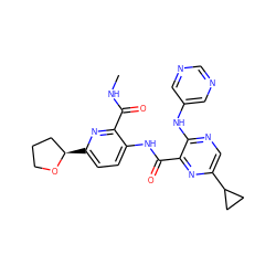 CNC(=O)c1nc([C@@H]2CCCO2)ccc1NC(=O)c1nc(C2CC2)cnc1Nc1cncnc1 ZINC000169701798