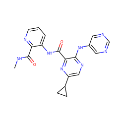 CNC(=O)c1ncccc1NC(=O)c1nc(C2CC2)cnc1Nc1cncnc1 ZINC000169701754