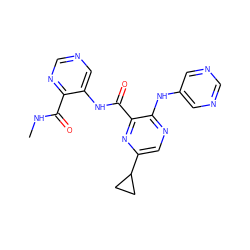 CNC(=O)c1ncncc1NC(=O)c1nc(C2CC2)cnc1Nc1cncnc1 ZINC000169701839
