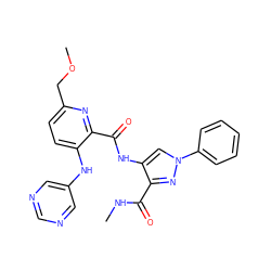 CNC(=O)c1nn(-c2ccccc2)cc1NC(=O)c1nc(COC)ccc1Nc1cncnc1 ZINC000169701679